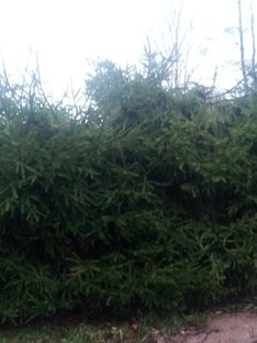 Жизнь в деревне🏠