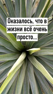 Вопрос-ответ
