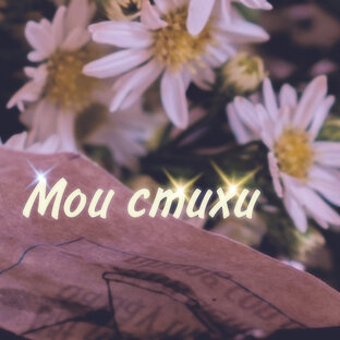 Стихоплёт