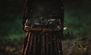 Дневник Ведьмы