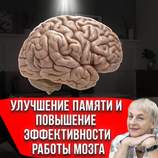 Улучшение памяти и повышение эффективности работы мозга