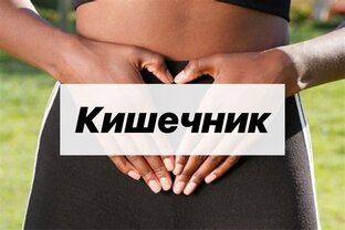 КИШЕЧНИК