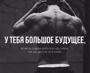 Спорт 
