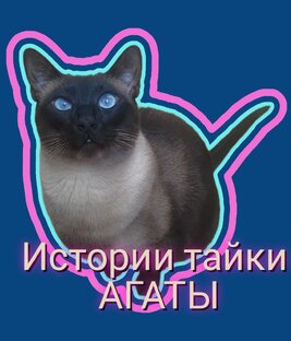 История тайки Агаты