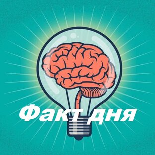 Факт дня