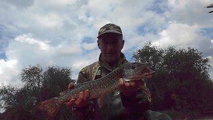 Рыбалка на реке