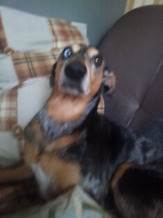 Kasper .