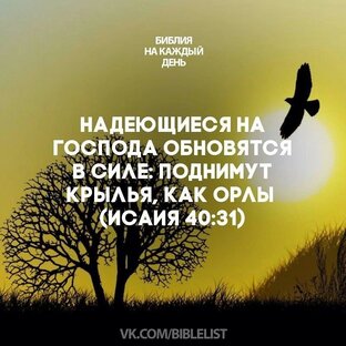 Разное