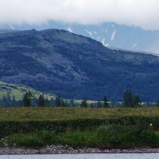 промысел, которого нет