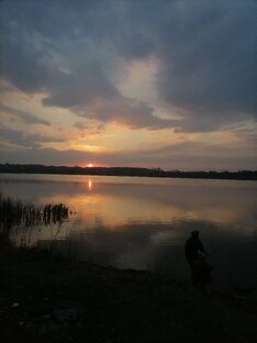 Стихи, прозы