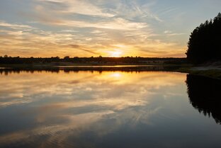 ПРУД У ДЕРЕВНИ РЁБРОВКА