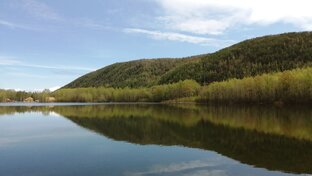 Природа Хабаровского края!