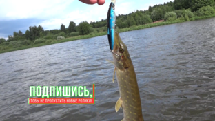 Рыбалка