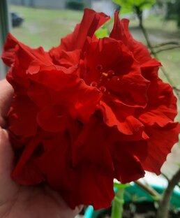 Истории из жизни