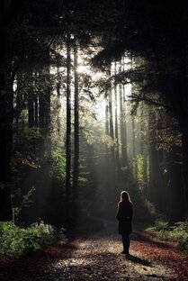 В.Мамай - лучшие статьи