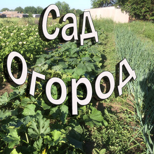 Огород и сад