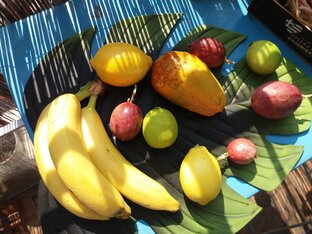 Всякая всячина,