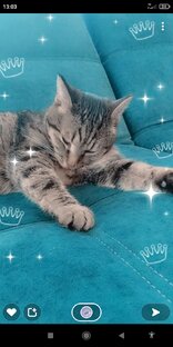 Котик ❤️❤️❤️