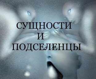 Сущности и подселенцы