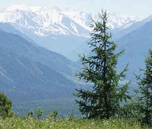 Горный Алтай