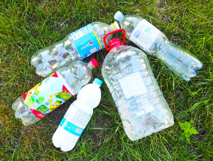 Эффектные поделки из пластиковых бутылок: пошаговые инструкции