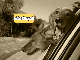 Поездки в Адыгею