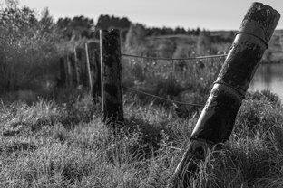 СОСНОВОБОРСКИЙ РАЙОН