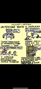 КОМЕДИЙНОМ 