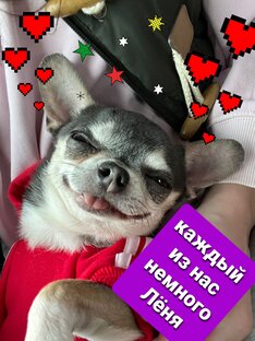 Каждый из нас немного Лёня😅