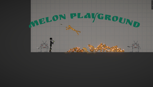Melon Playground 