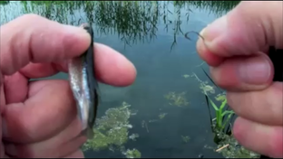 Новая рыбалка