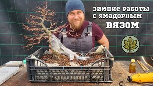 Наши ролики