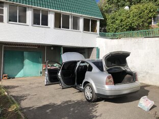 Пассатик на осмотре.)