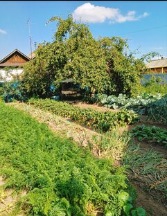 Обсуждаем, спорим.