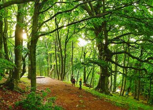 Природа Крым