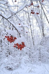 Помощь словом 🧡