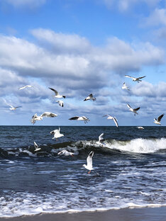 О фотографии 📸