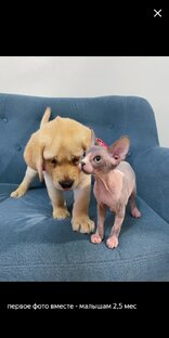 Дени и Мэни 