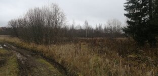 РАССКАЗЫ ПРО ПОИСК СТАРИНЫ. 