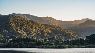 Подборки игр