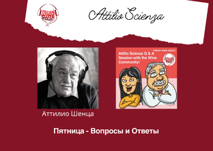 Вопросы-Ответы об итальянском вине