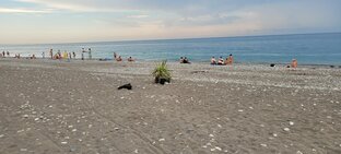 Абхазия. Цандрипш 