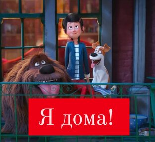 Обрели дом 🏠❤