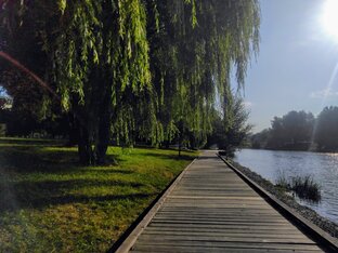 Фото на смартфон