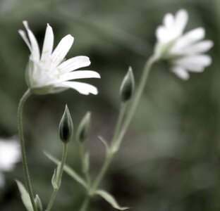 Сила Благодарности