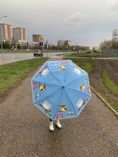 Обзоры покупок