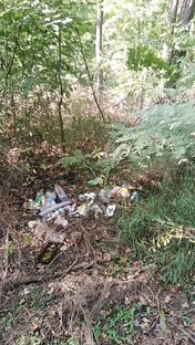 "Чистюли" Управления благоустройства Первомайского района