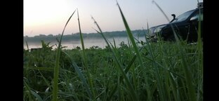 Природа Сибири