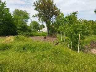 Купить землю в Крыму