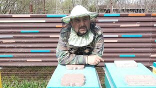 Братья Марченко!!!